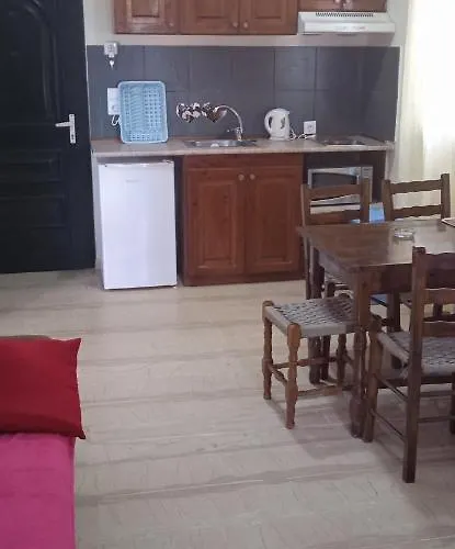 Ektor @swimming Pool Lejlighed